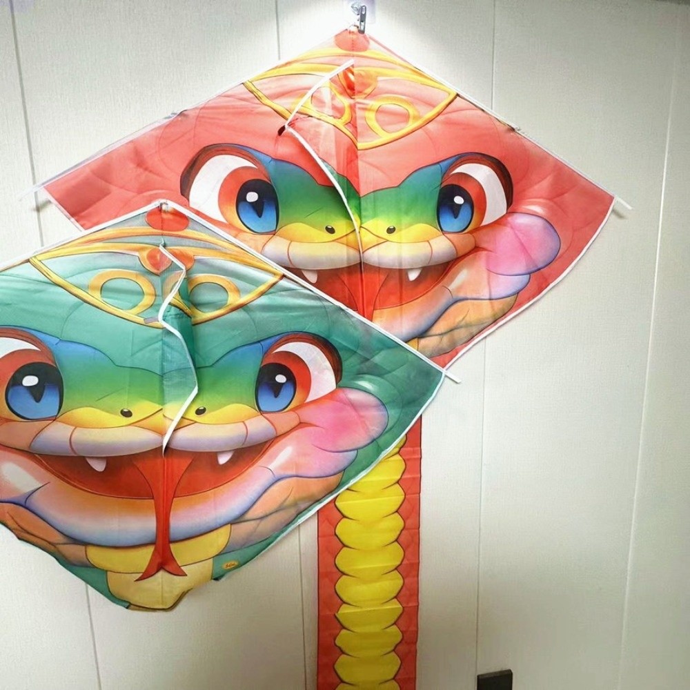 Kite Wind Outdoor - Easy to Fly 4.75M Snake Kite
