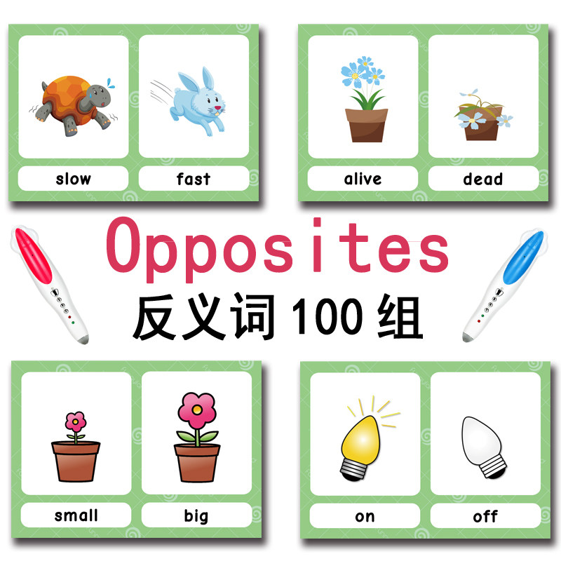 The 100 Groups Opposites Flash - Kids Toys And Games recension och pris