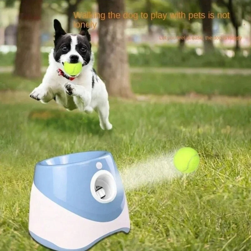 Dog Launcher Automatic Dogs Ch - Catapult Launcher Toy recension och pris