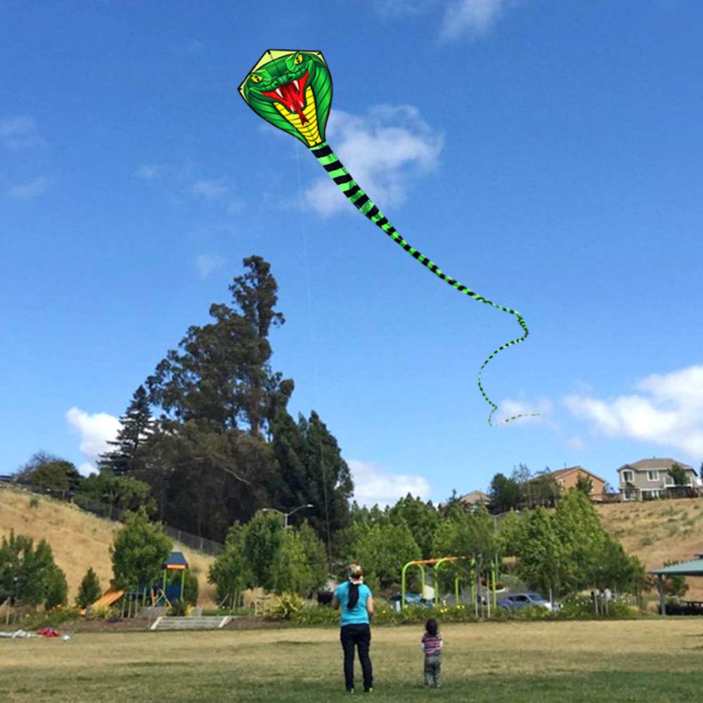 Large 8/15m Snake /Power Cobra - Kite Wind Outdoor recension och pris