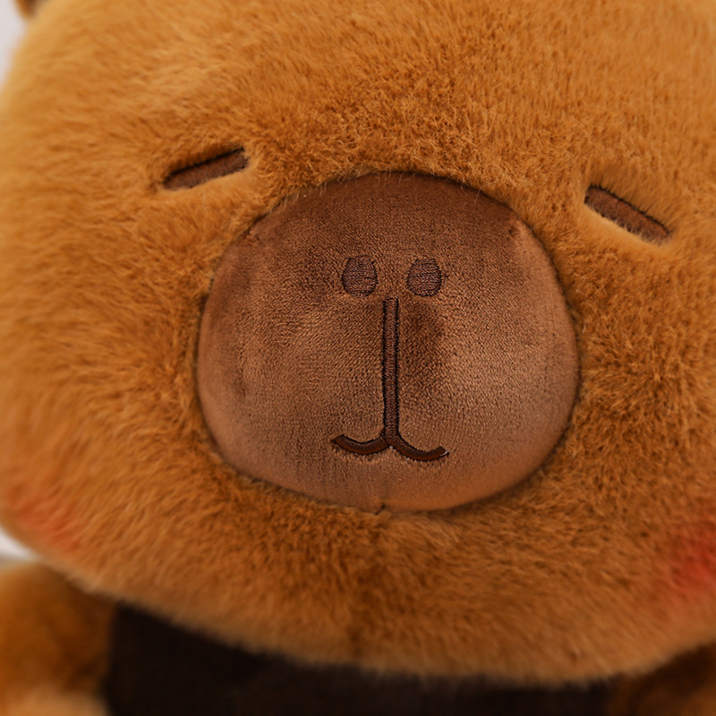 New Capybara Plush Toy Stuffed - Best Kids Toys Xmas recension och pris