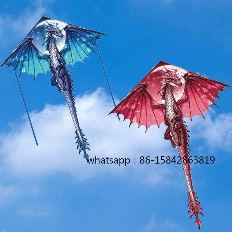 New pterosaur kites flying pro - Kite Wind Outdoor recension och pris