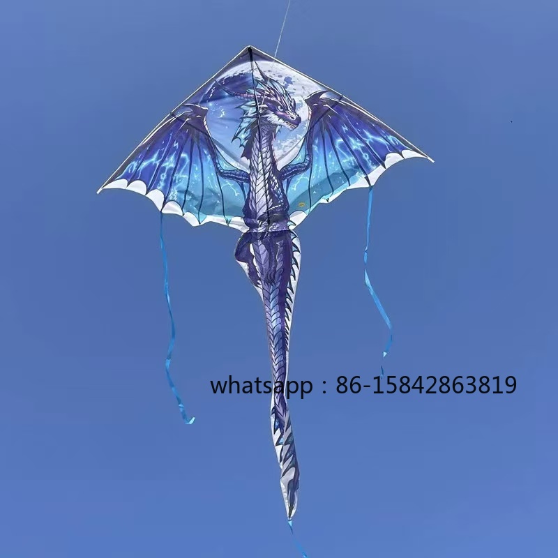 New pterosaur kites flying pro - Kite Wind Outdoor recension och pris