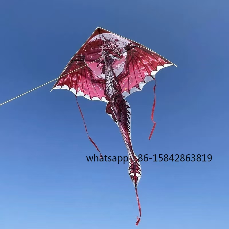 New pterosaur kites flying pro - Kite Wind Outdoor recension och pris