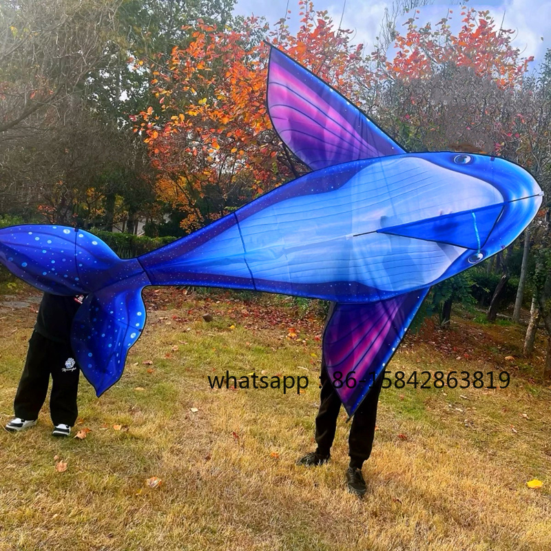free shipping whale kite flyin - Kite Wind Outdoor recension och pris