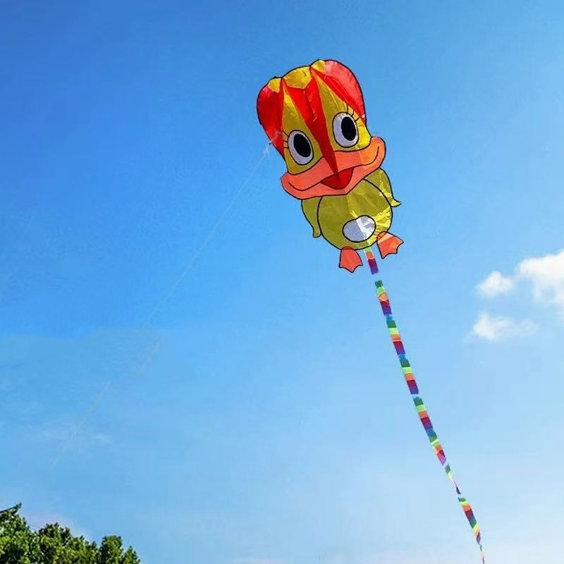 Inflatable kites Duck kites fl - Kite Wind Outdoor recension och pris