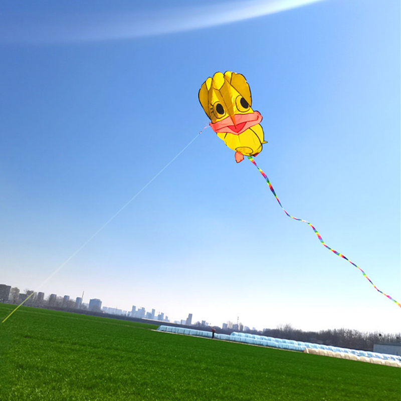 Inflatable kites Duck kites fl - Kite Wind Outdoor recension och pris