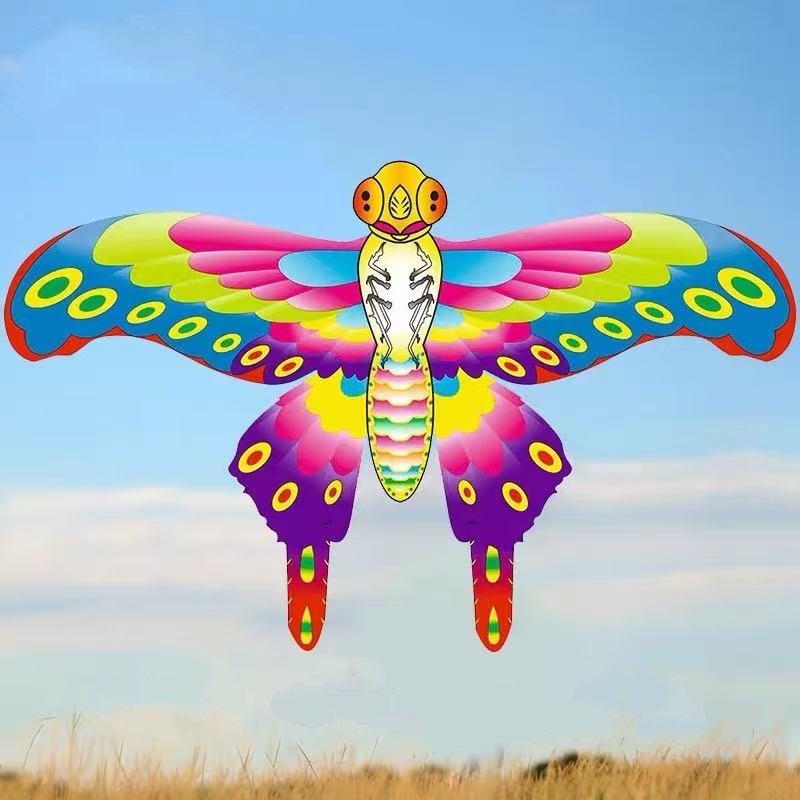 Pocket kite flying fishing lin - Kite Wind Outdoor recension och pris
