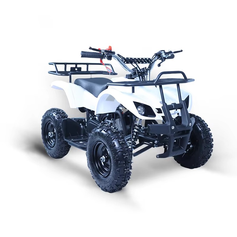 49cc Mini ATV Kids Quad Bike 2 - Kids Toys Quad recension och pris